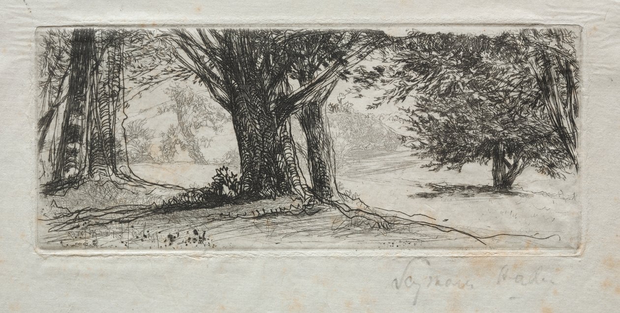 Holly Field av Francis Seymour Haden