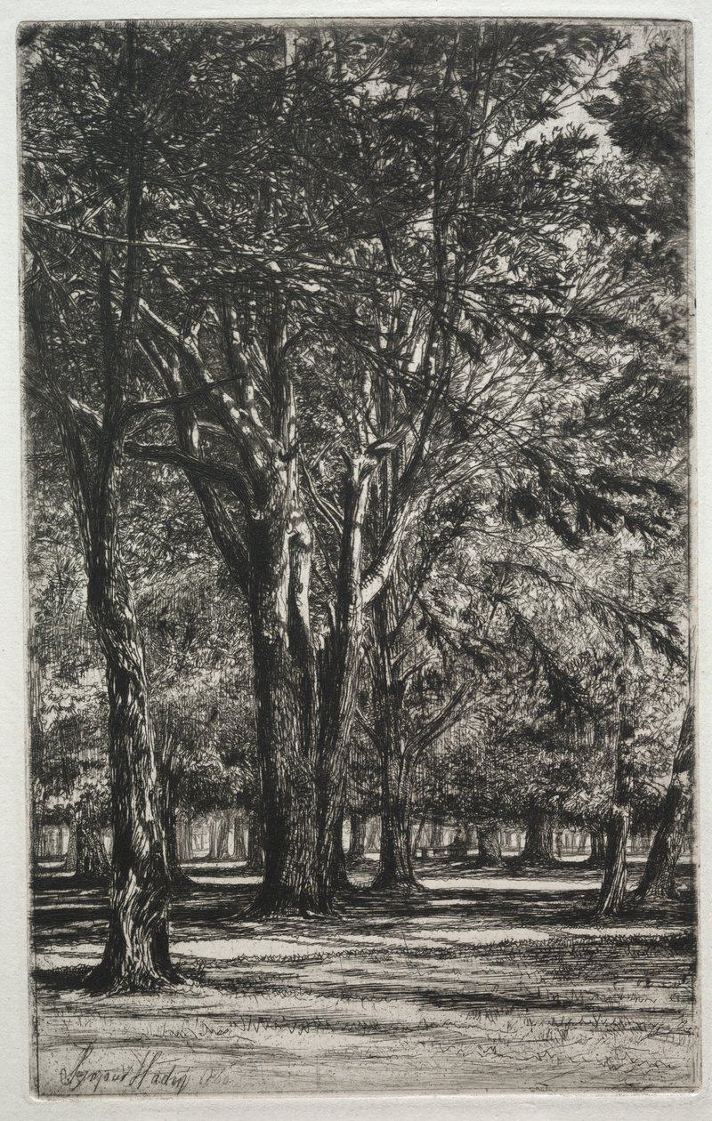 Kensington Gardens (The Large Plate) av Francis Seymour Haden