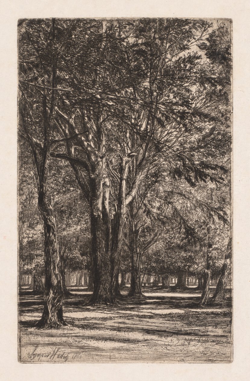Kensington Gardens, nr. 2 (The Larger Plate) av Francis Seymour Haden