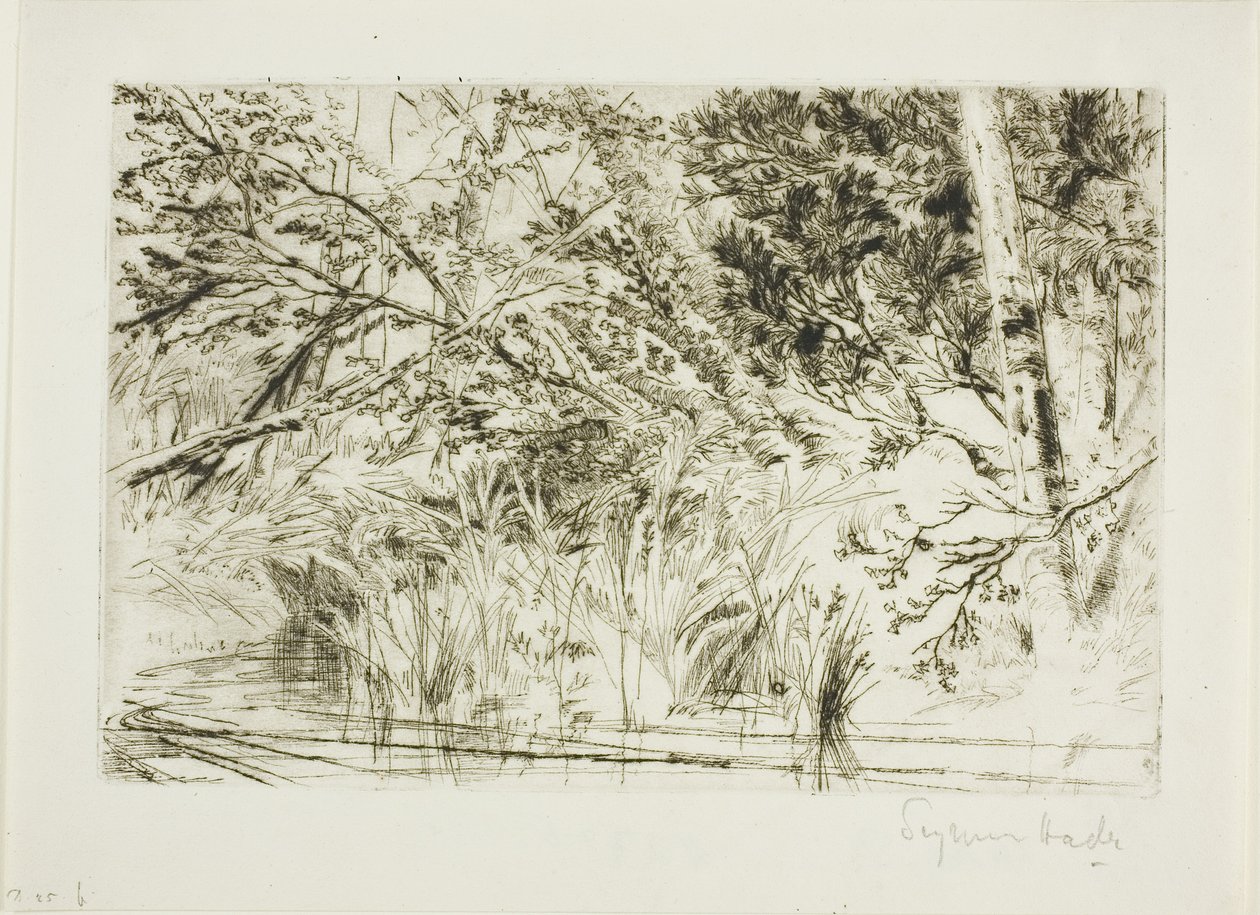 Munn av en bekk, nr. II av Francis Seymour Haden