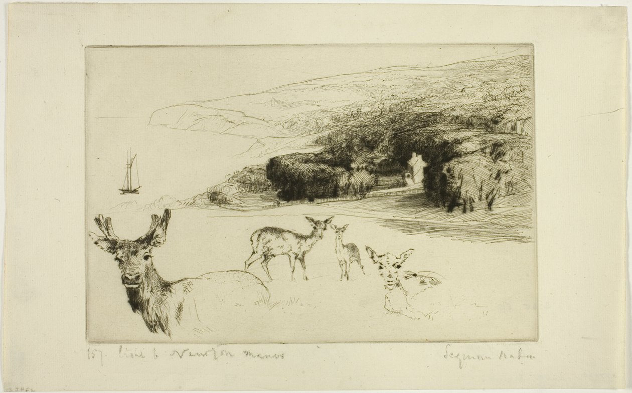 Newton Manor av Francis Seymour Haden