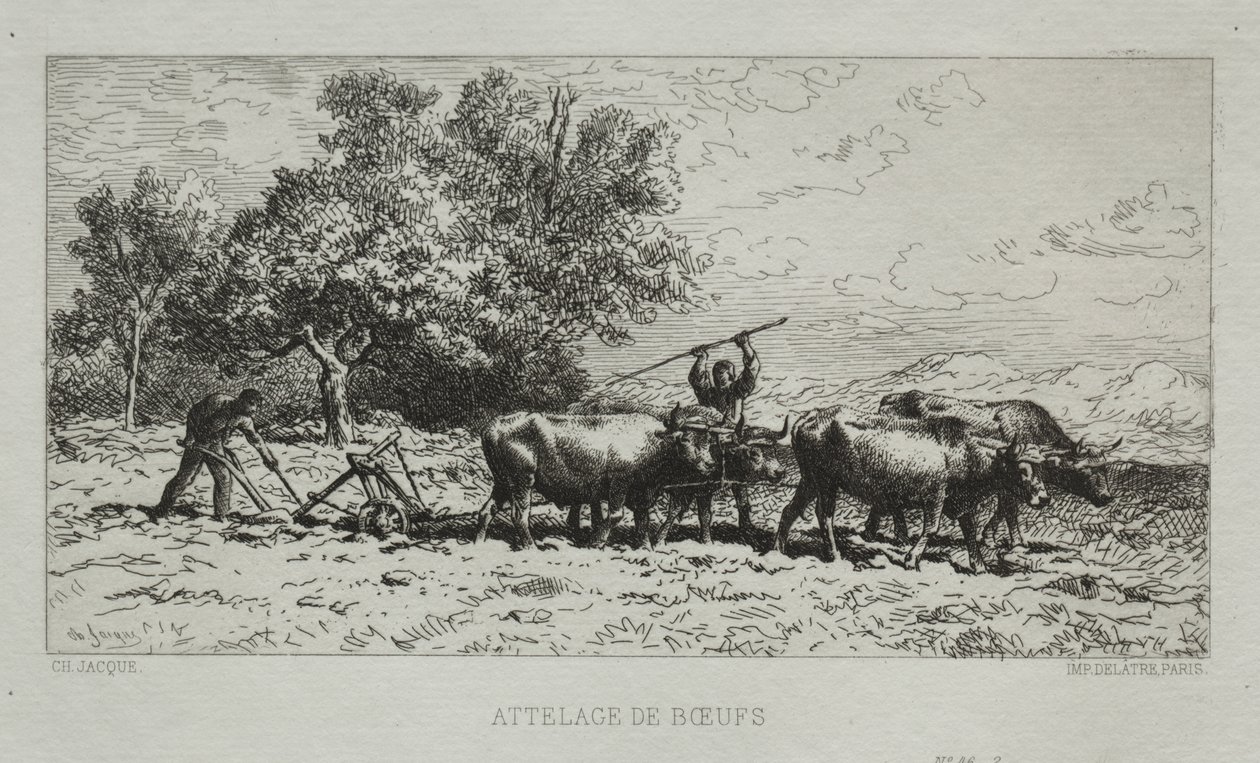 Team av okser av Francis Seymour Haden