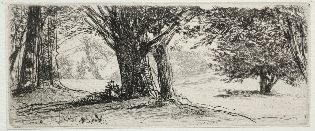 The Holly Field av Francis Seymour Haden