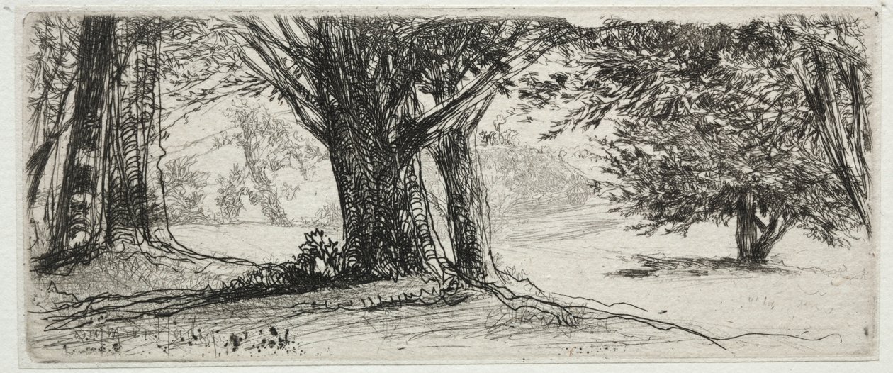 Holly Field. av Francis Seymour Haden