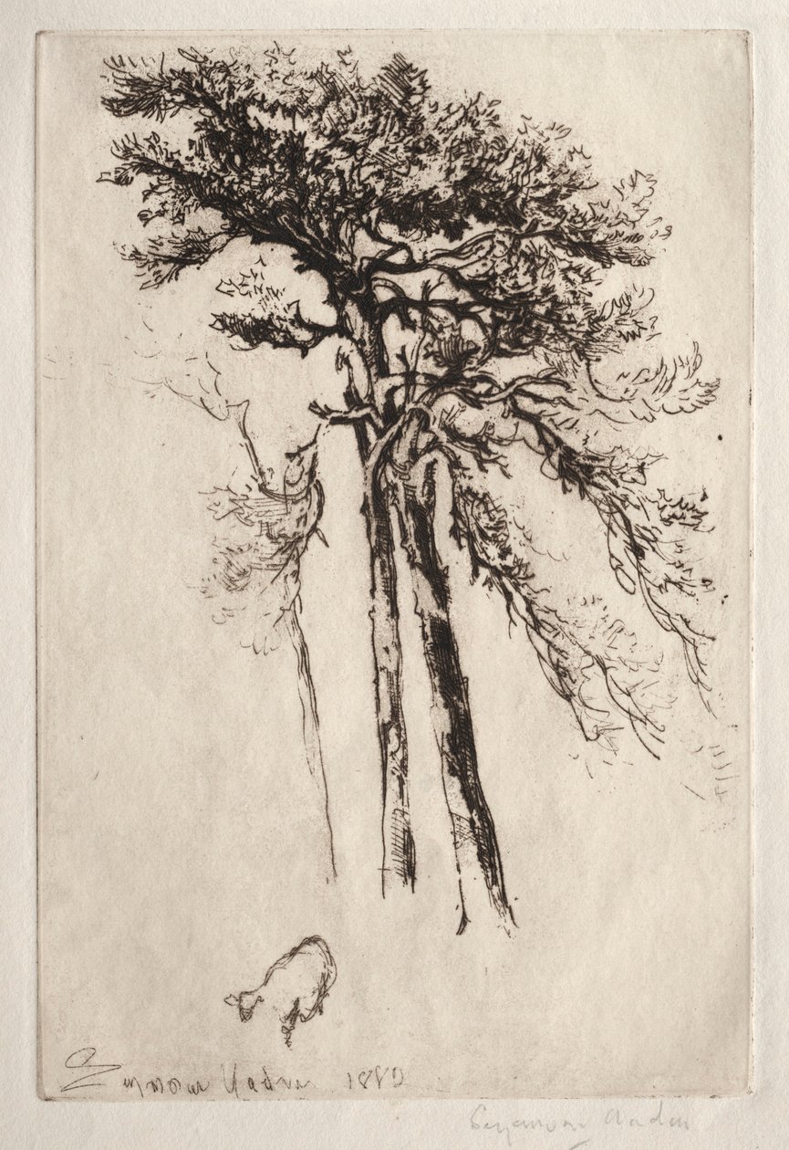 Det siste treet, 1882. av Francis Seymour Haden