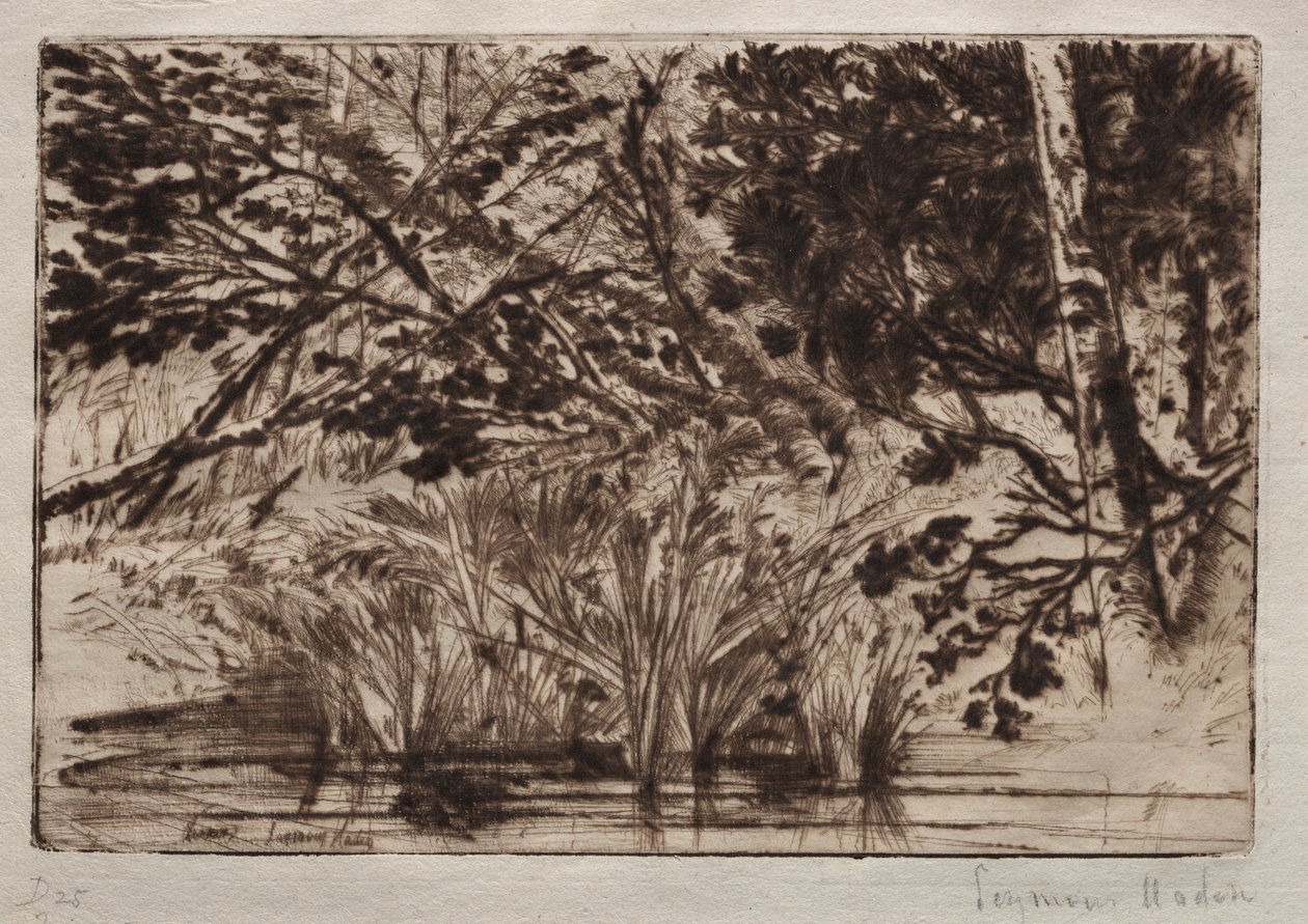 Munnen til en bekk (andre plate) av Francis Seymour Haden