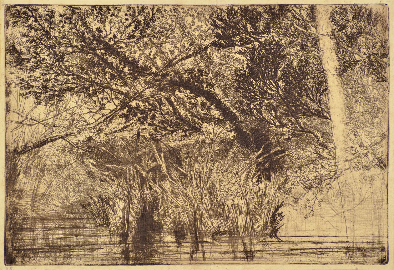 Munnen til en bekk nr.1 av Francis Seymour Haden