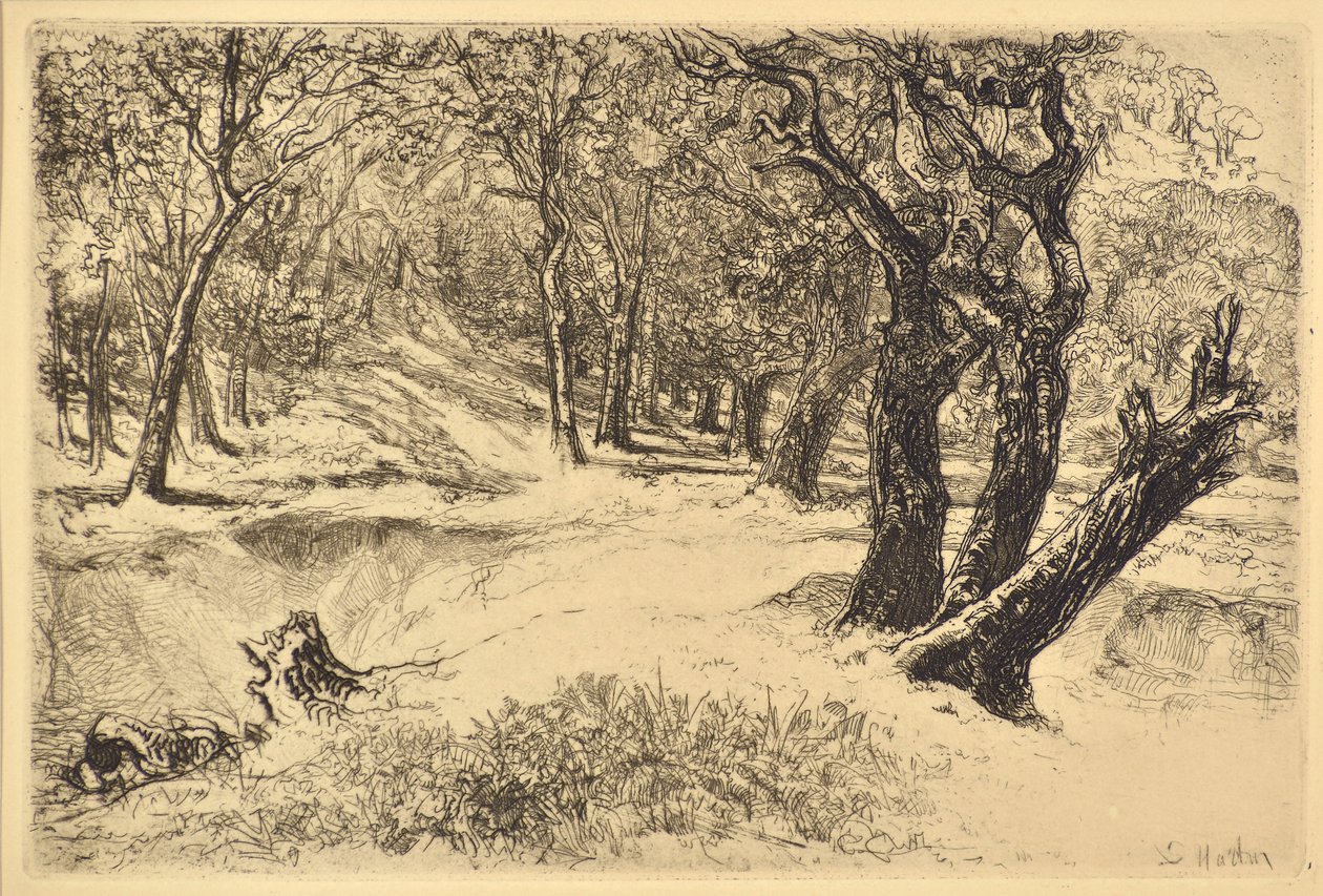 De tre søstrene av Francis Seymour Haden
