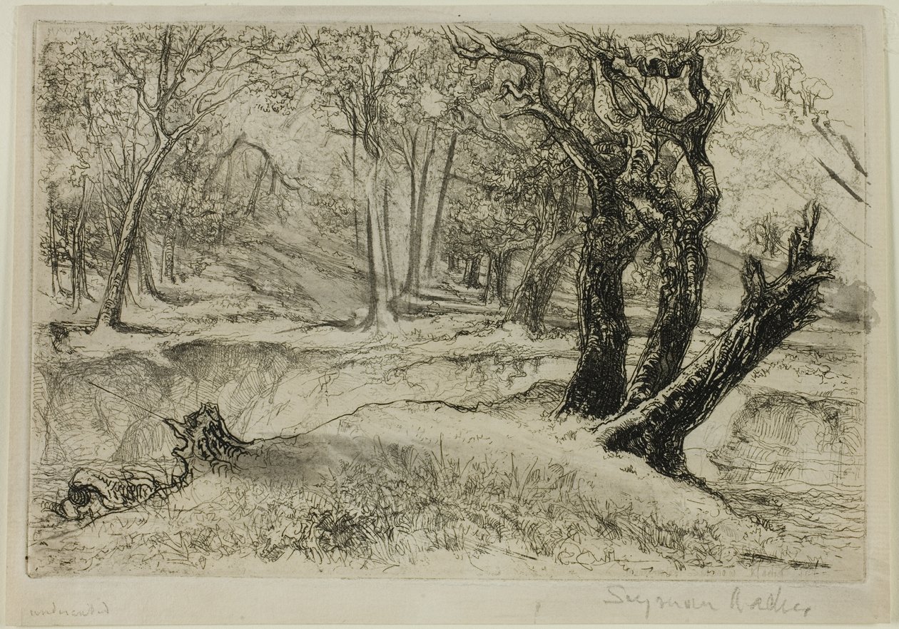 De tre søstrene av Francis Seymour Haden