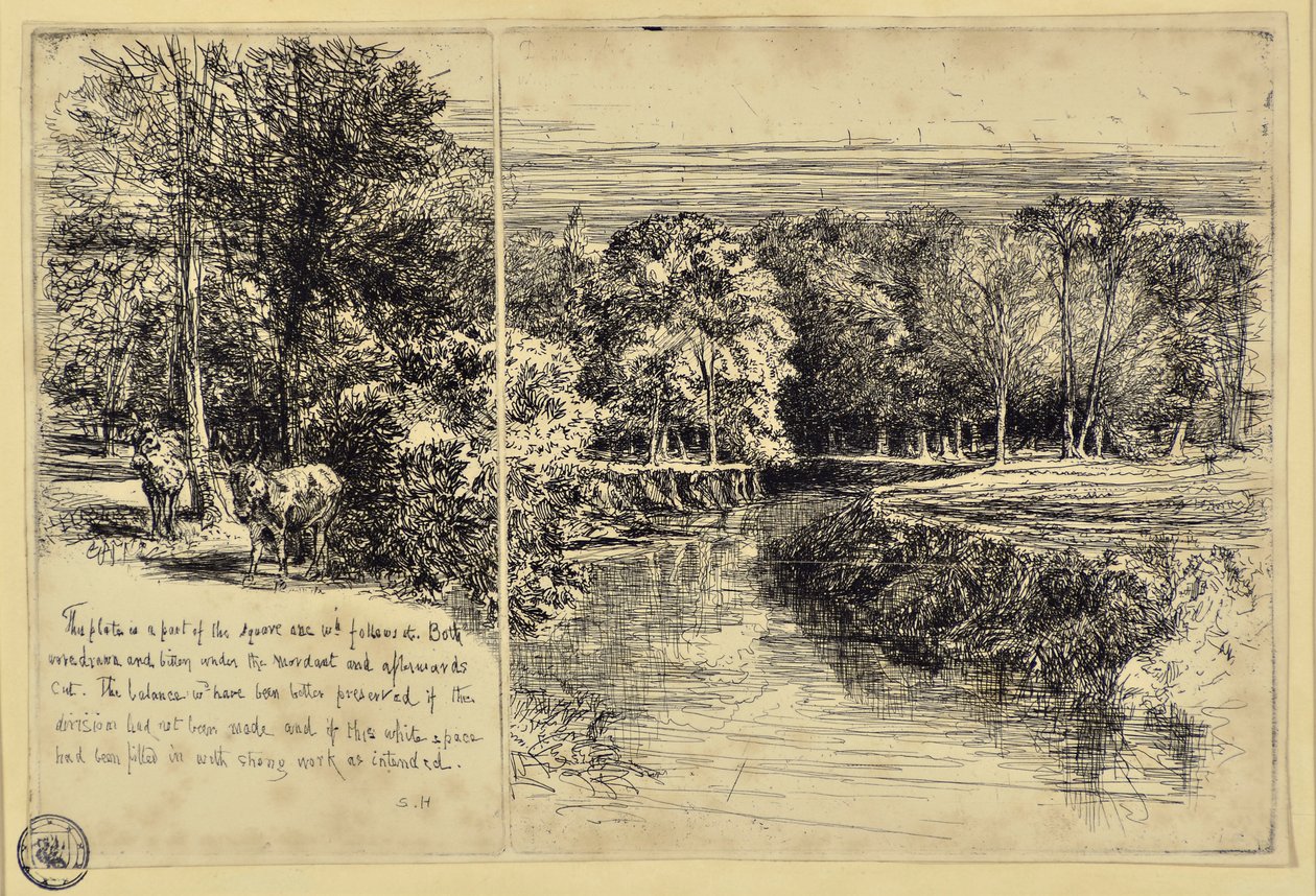 The Two Asses og Dundrum River av Francis Seymour Haden