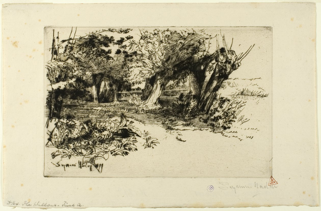 The Willows av Francis Seymour Haden