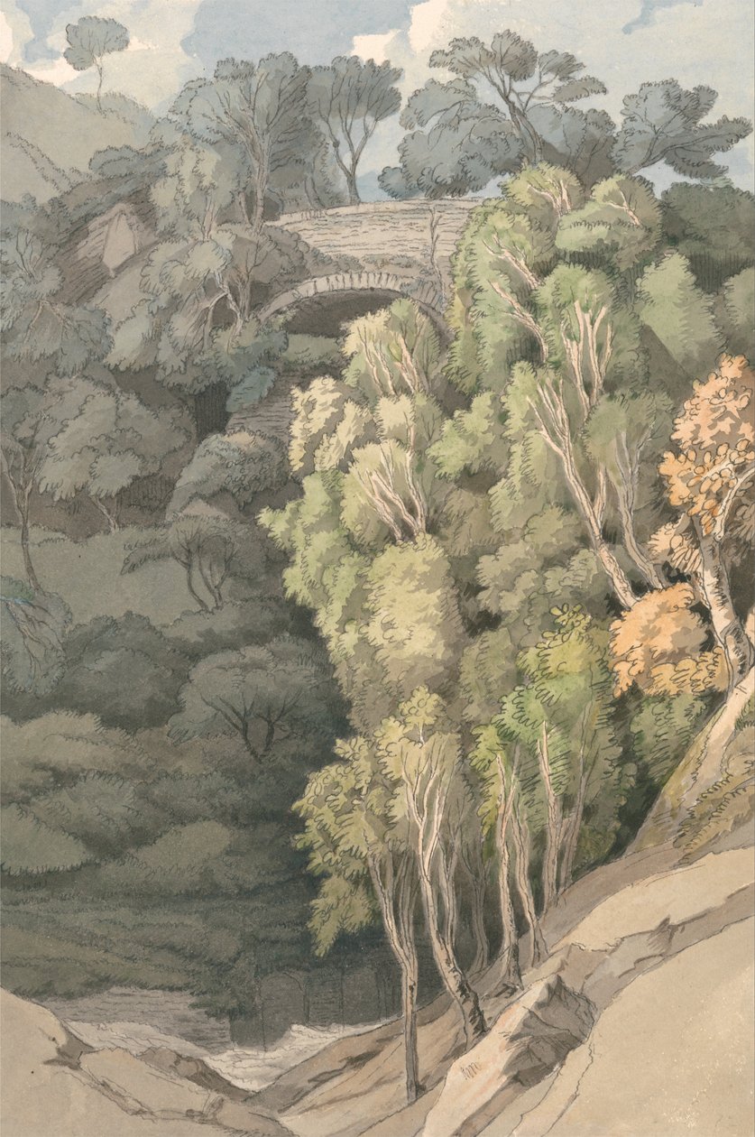  av Francis Towne