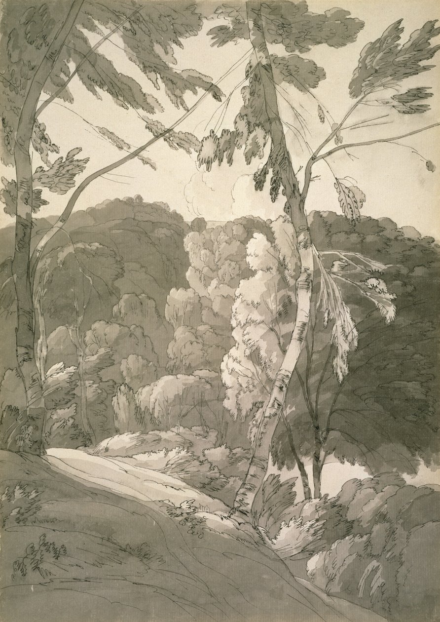No.1091 A Wooded Landscape (A Scene at Indinowle) 1783 (blyant, penn og blekk med vask på papir) av Francis Towne