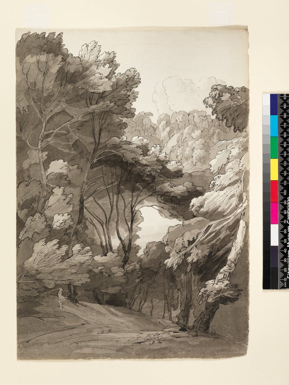 No.1093 A Wooded Landscape, 1788 (blekk og vask på papir) av Francis Towne