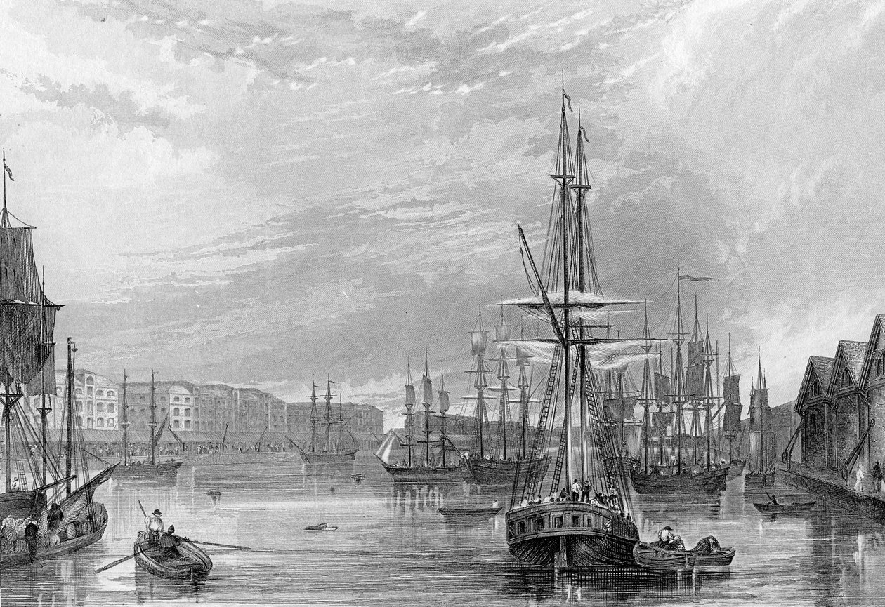 West India Dock, illustrasjon fra 