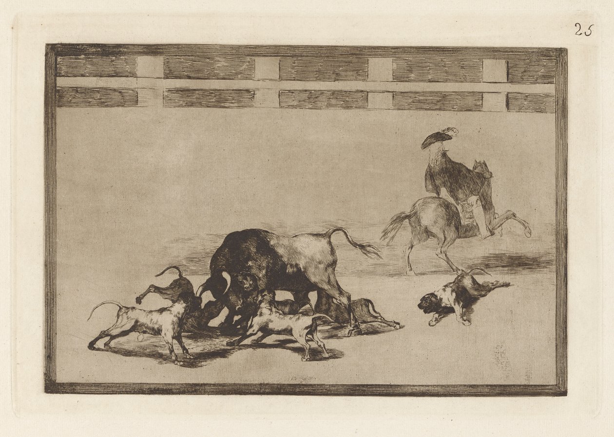 Echan perros al toro (They Loose Dogs on the Bull), Plate 25 fra La tauromaquia av Francisco de Goya