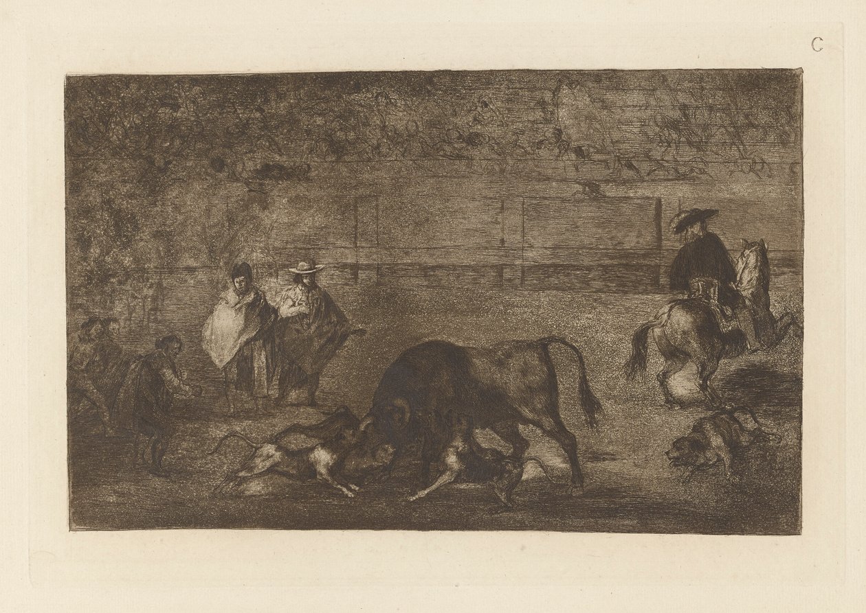 The Dogs Losse on the Bull, Plate C fra La tauromaquia (tredje utgave) av Francisco de Goya