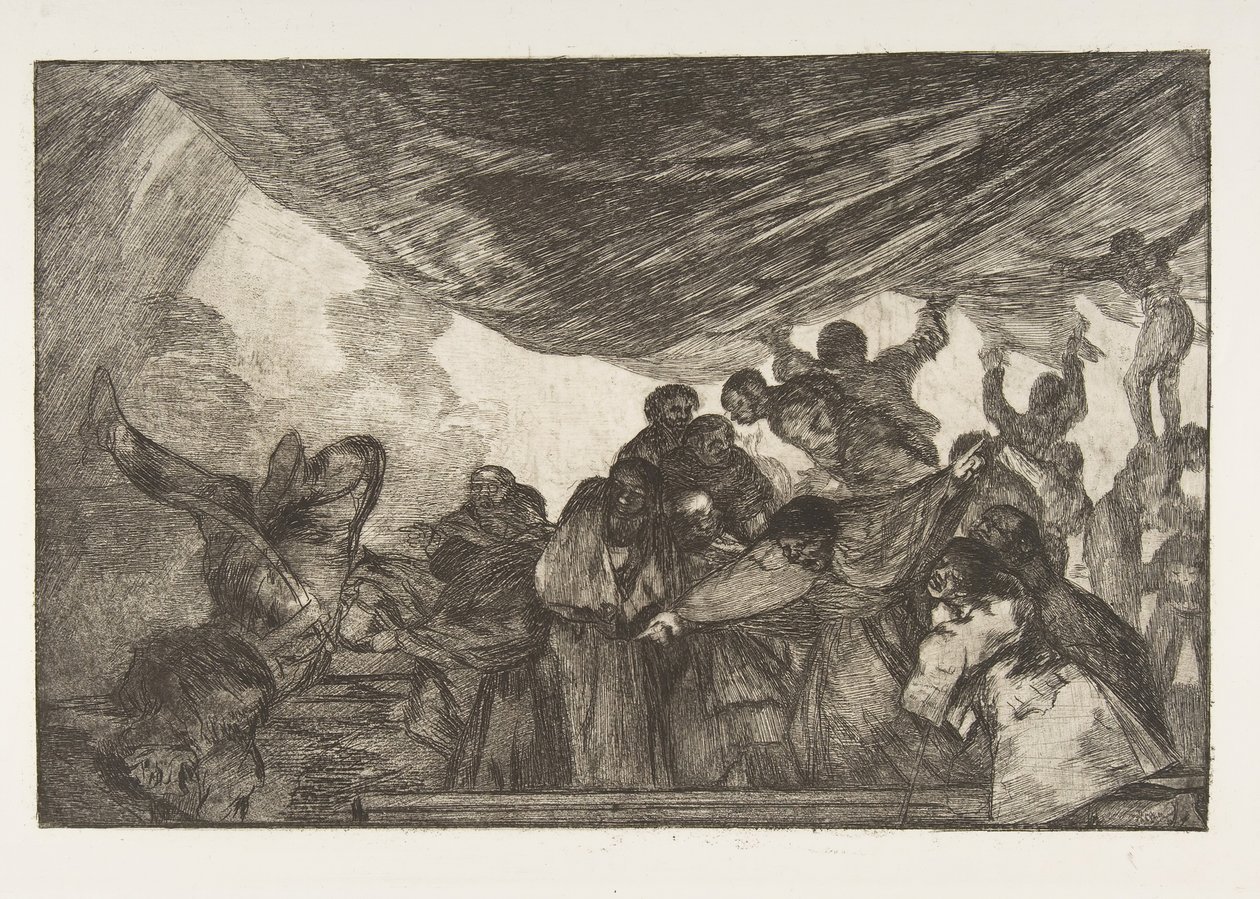 Plate 15 fra 