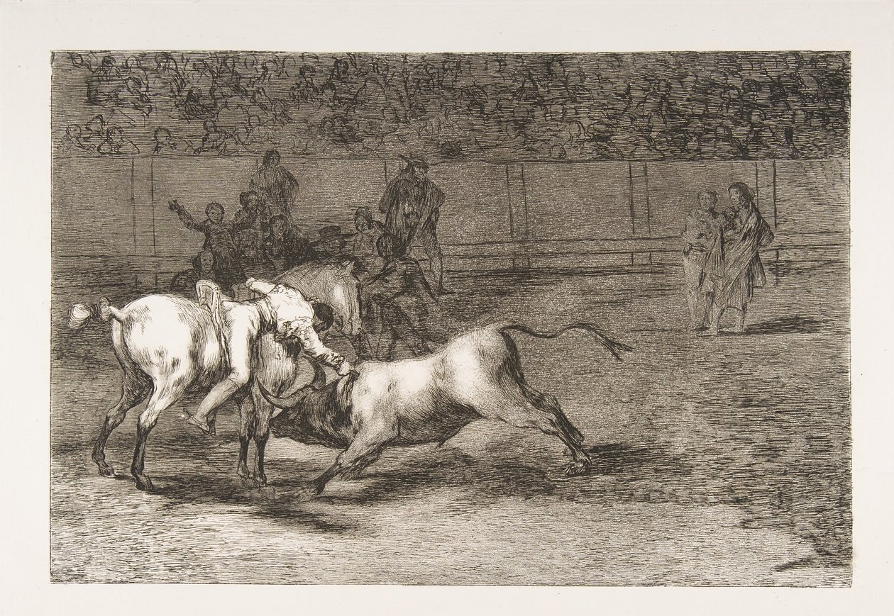 Plate 23 fra 