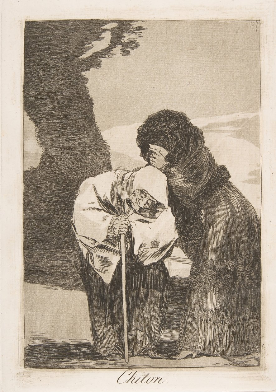 Plate 28 fra 