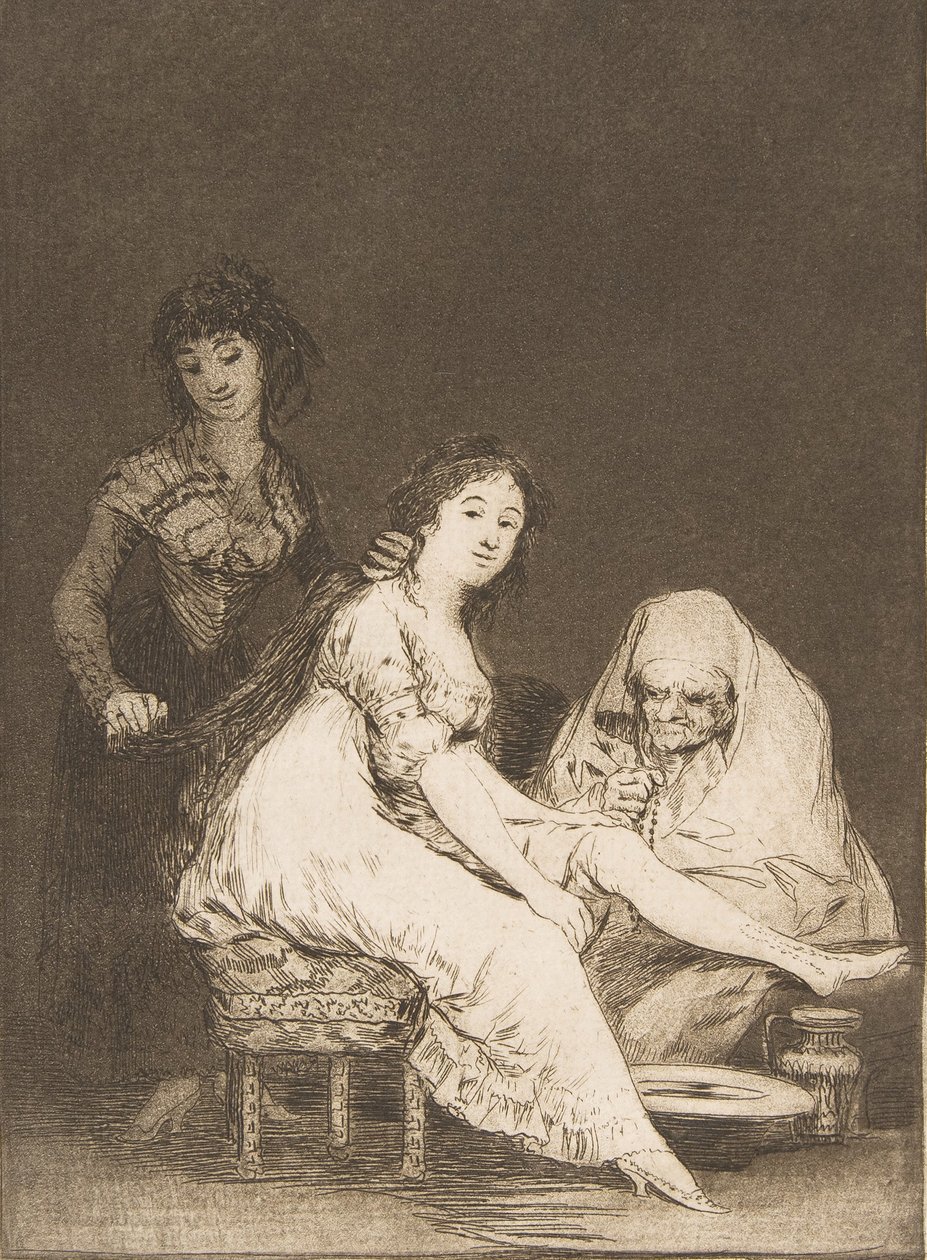 Plate 31 fra 