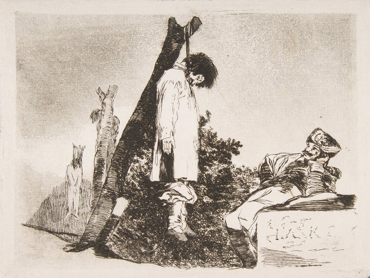 Plate 36 fra 