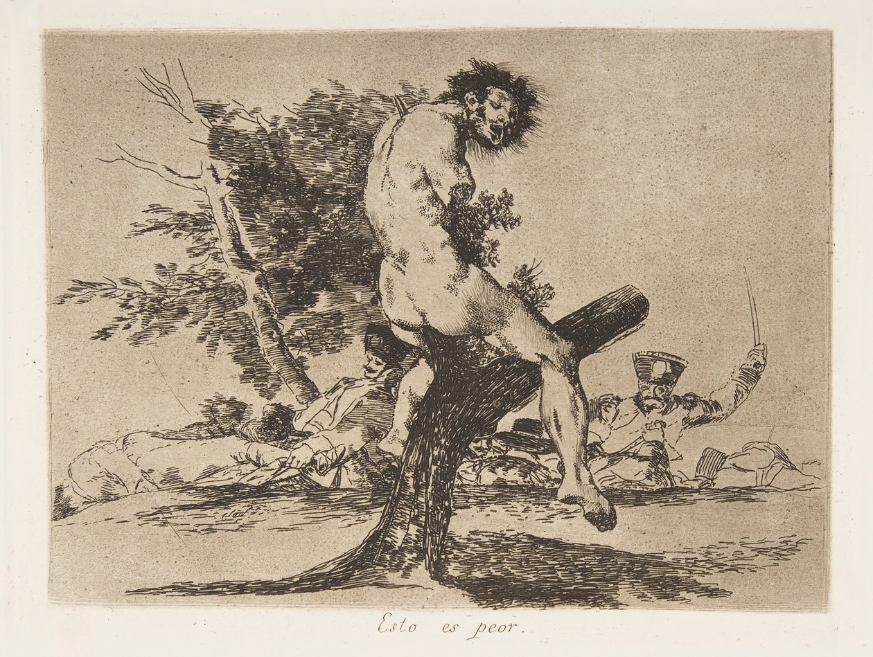 Plate 37 fra 