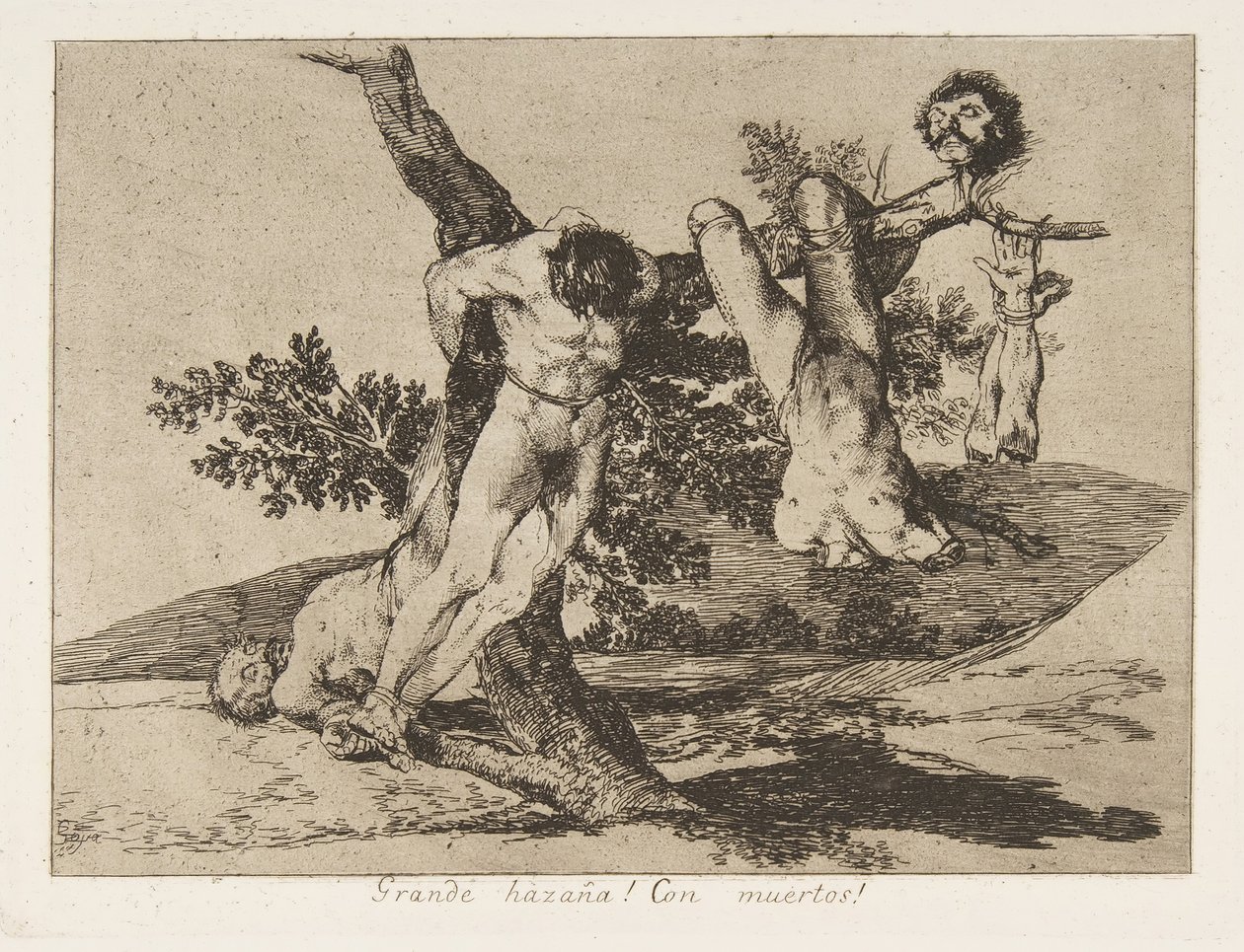 Plate 39 fra 
