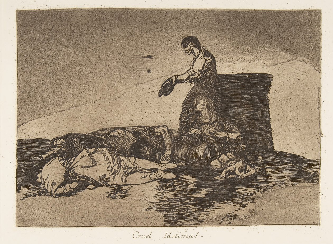Plate 48 fra 