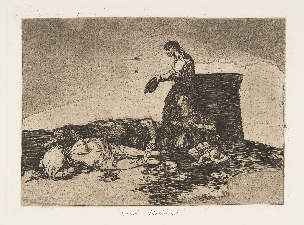 Plate 48 fra 
