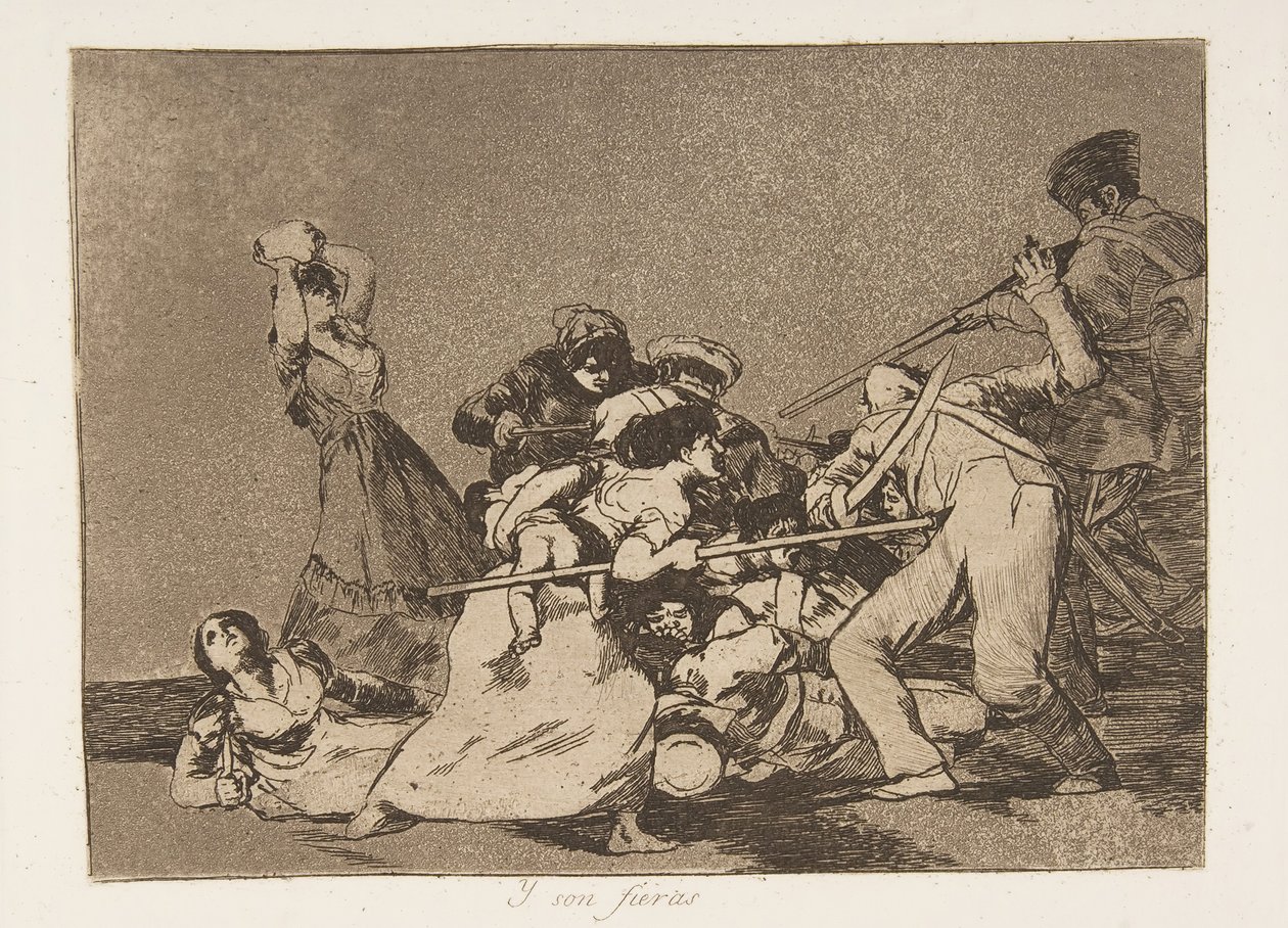 Plate 5 fra 