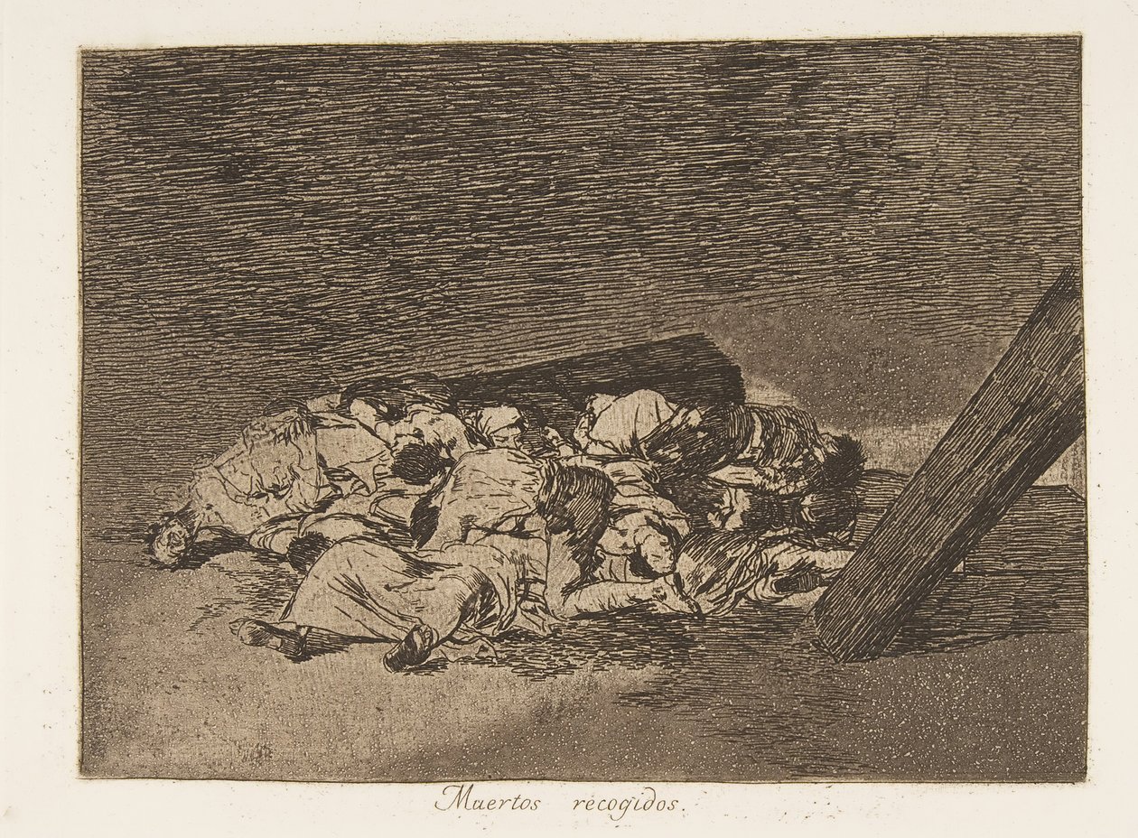 Plate 63 fra 