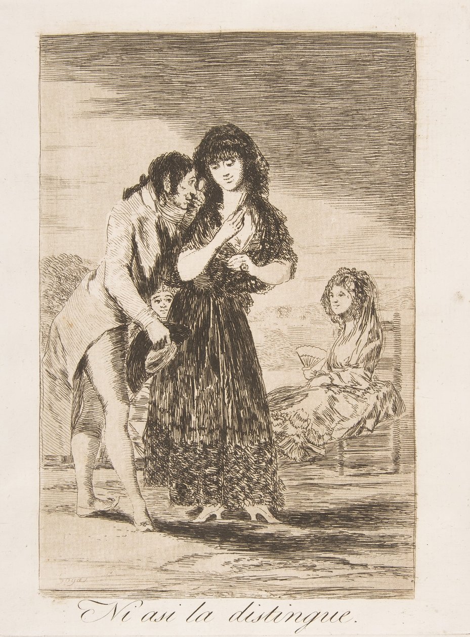 Plate 7 fra 