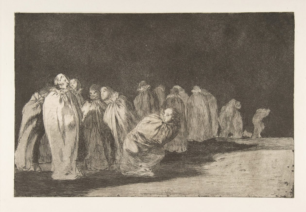 Plate 8 fra 