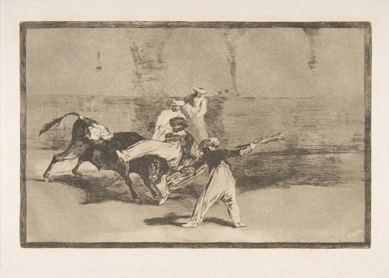 Plate 8 fra 