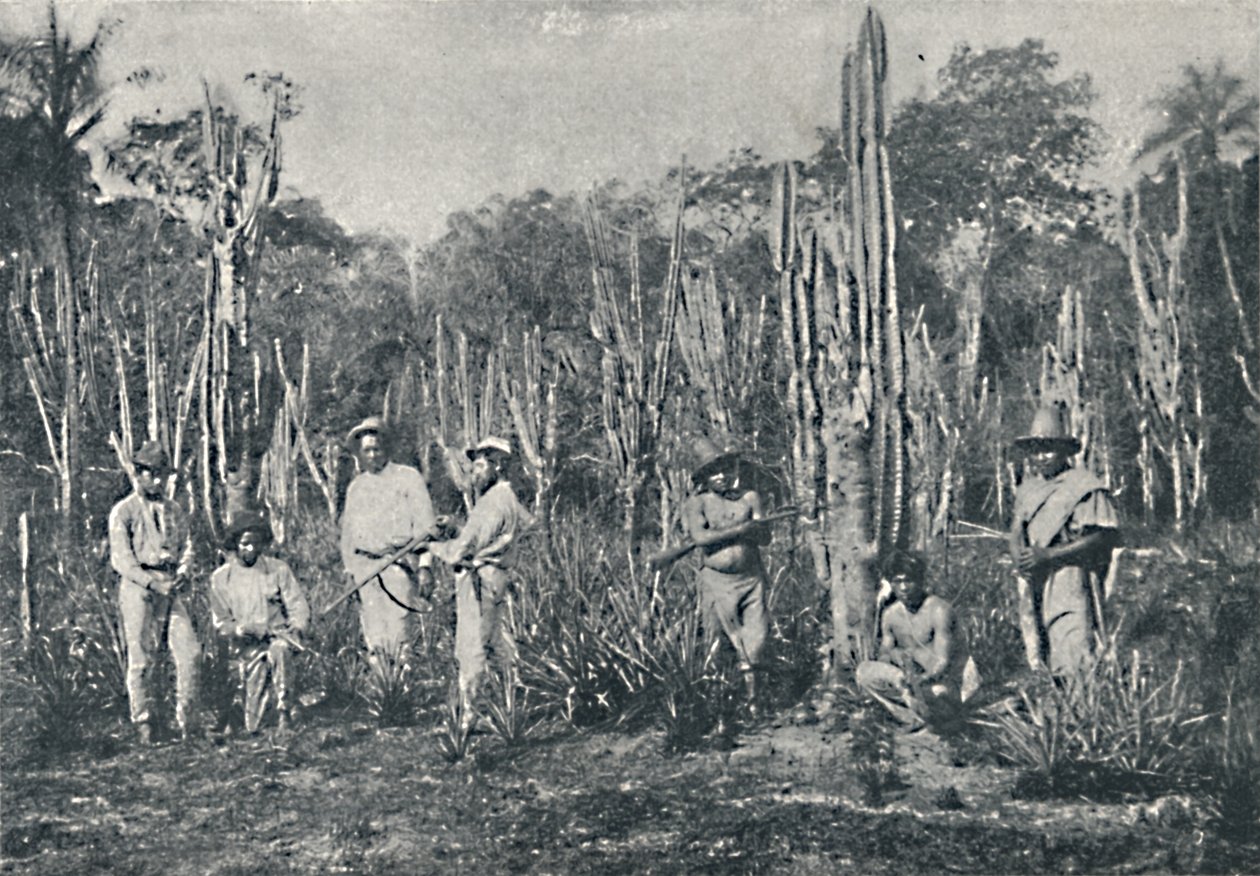 Fields, 1895 av Francisco Henszler