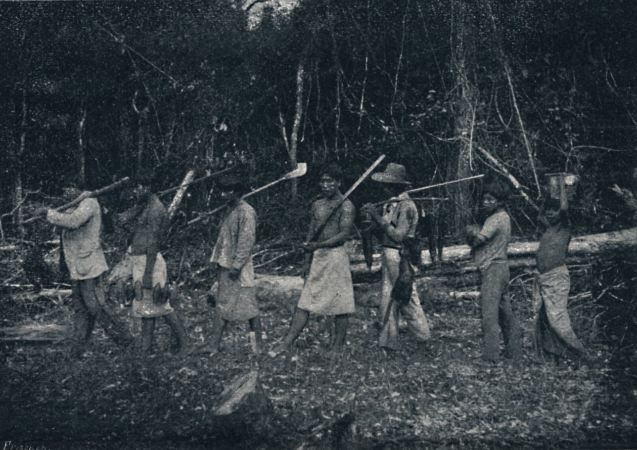 Guarany-indianere, vender tilbake fra en Caþada, 1895 av Francisco Henszler
