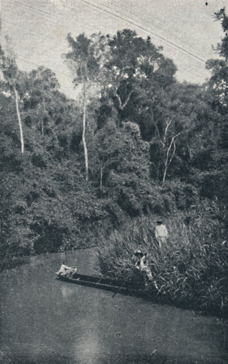 S. Anastacio-elven, 1895 av Francisco Henszler