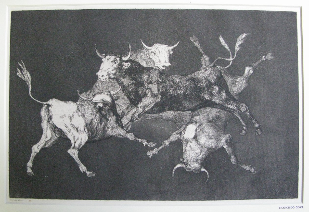 Dåres dårskap av Francisco Jose de Goya y Lucientes