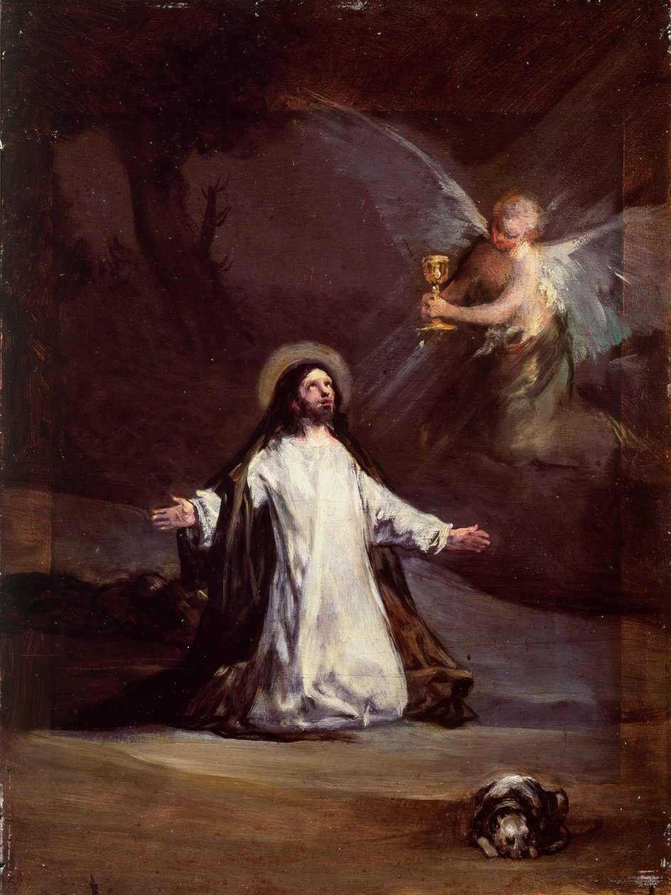 Ukjent bilde av Francisco de Goya