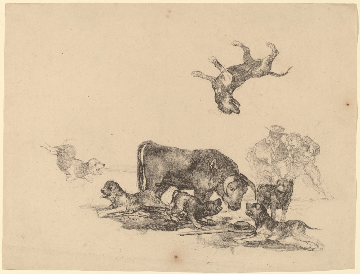 Okse angrepet av hunder av Francisco de Goya