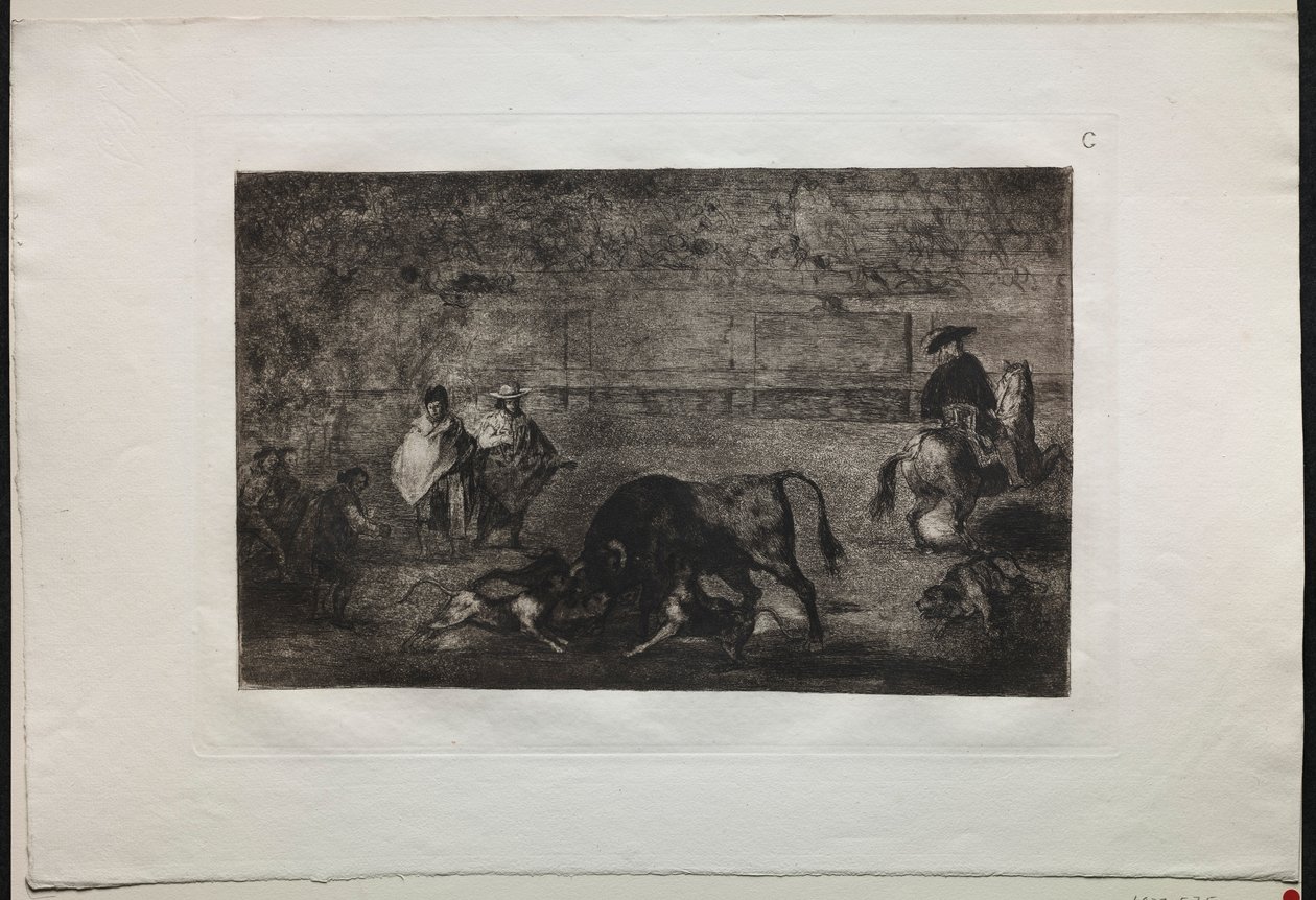 Bullfights: The Dog Let Loose on the Bull, 1876. av Francisco de Goya