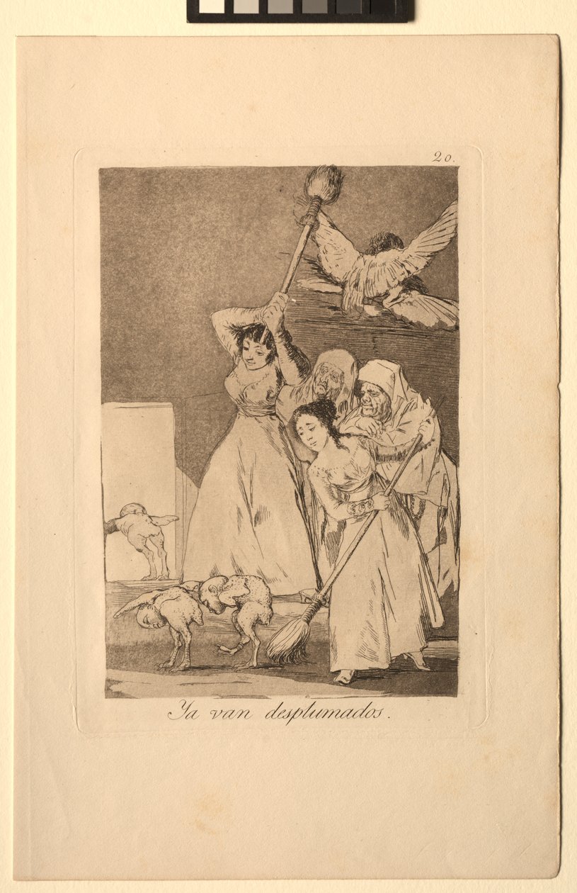 Caprichos: There They Go Plucked, dvs. fleeced. av Francisco de Goya
