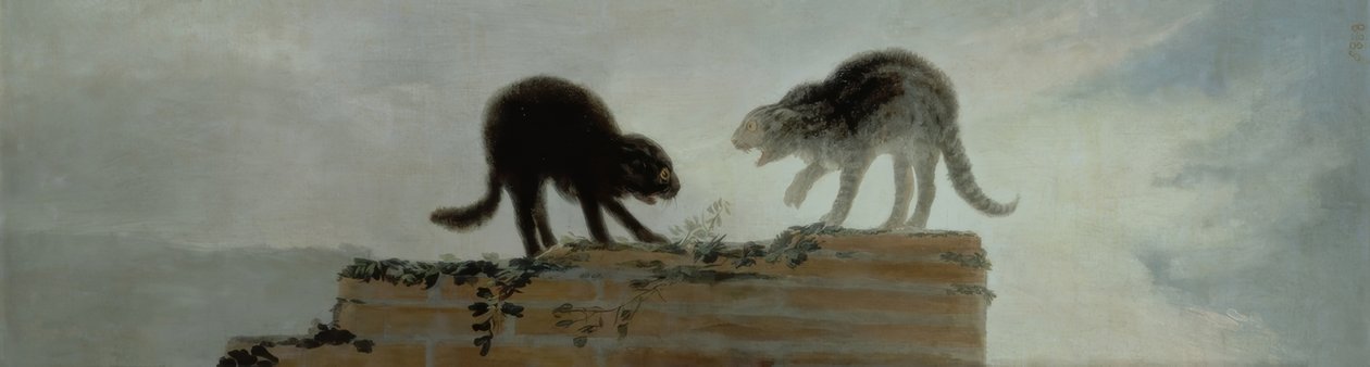 Katter som slåss av Francisco de Goya