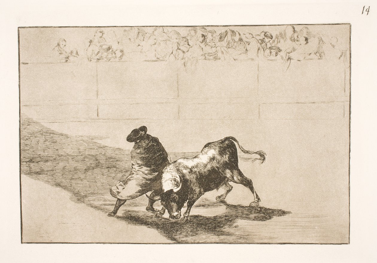 Den svært talentfulle studenten fra Falces, drapert i kappen sin, lurer oksen med kroppens bevegelser av Francisco de Goya