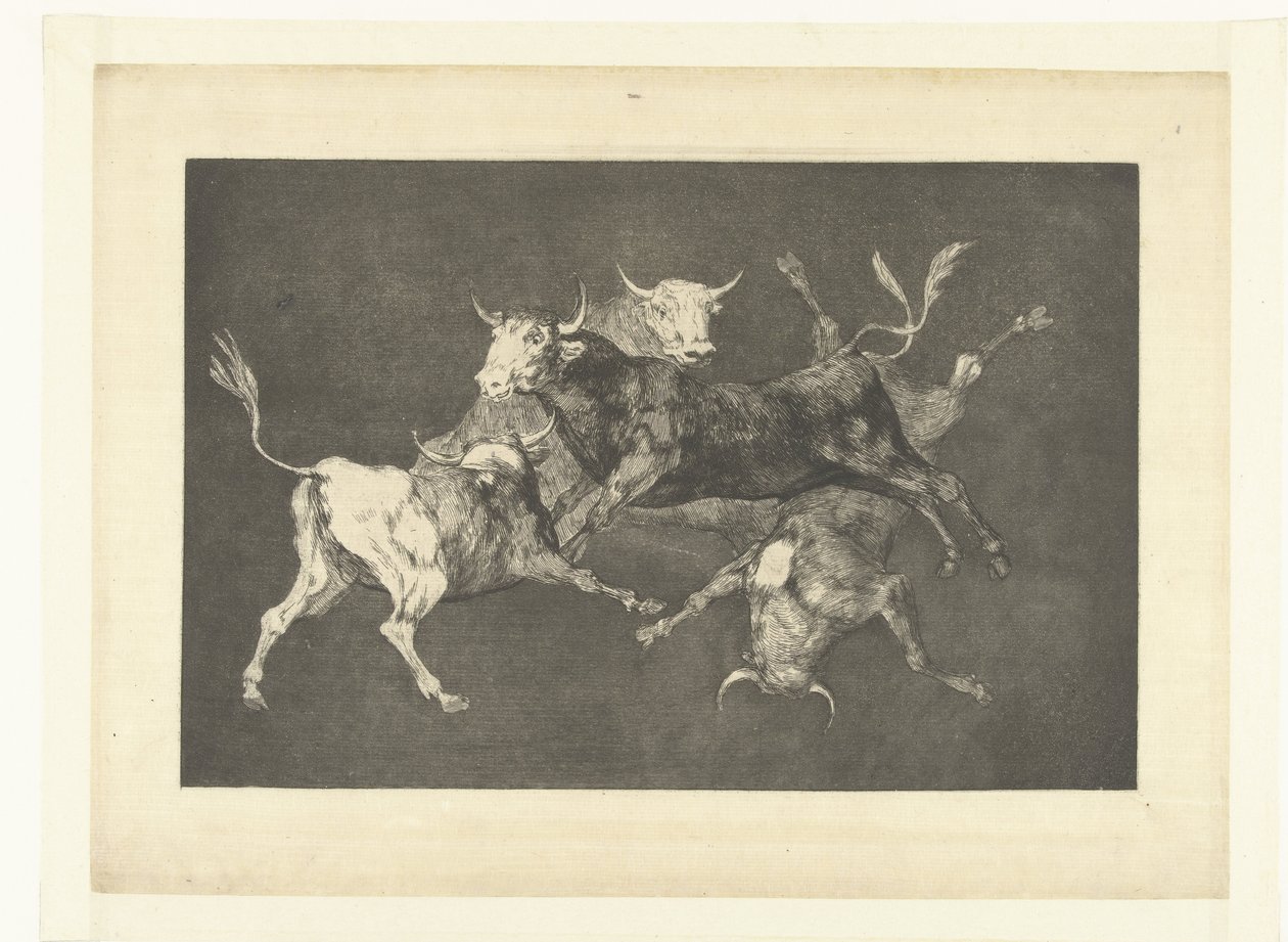 Dårskap av de små oksene Ulike de tontos Los Disparates (The follies) (serietittel) Los Proverbios (Ordspråkene) (serietittel) av Francisco de Goya