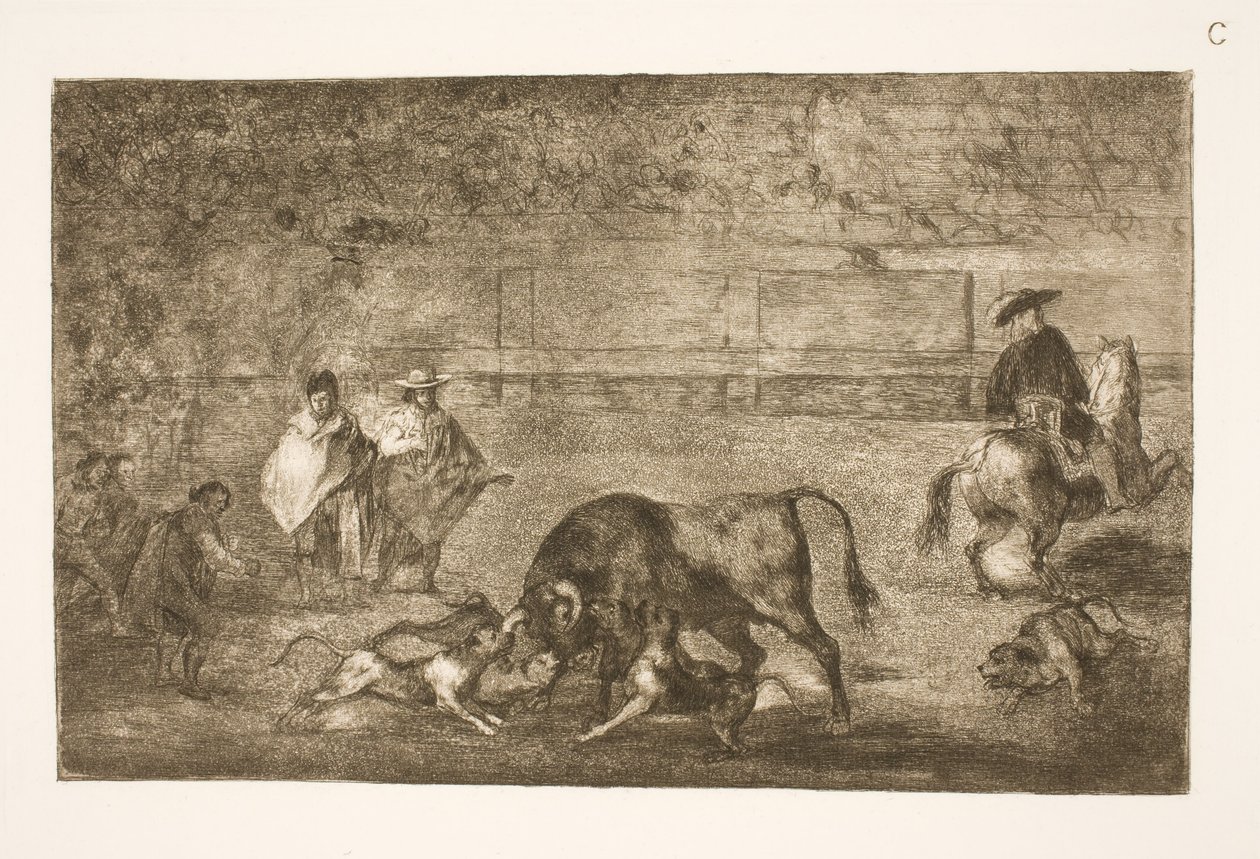 Hundene er polert på oksen av Francisco de Goya