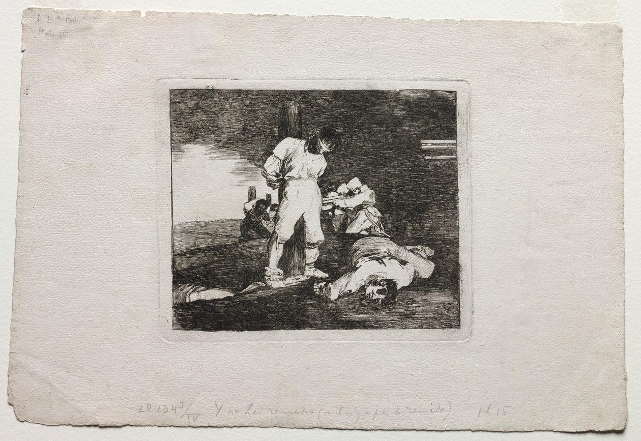 The Disasters of War: Og det er ingen hjelp for det av Francisco de Goya
