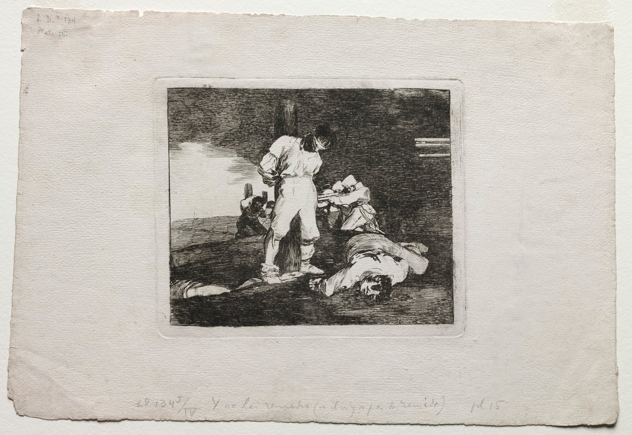 The Disasters of War: And Theres No Help for it, 1810-1820. av Francisco de Goya