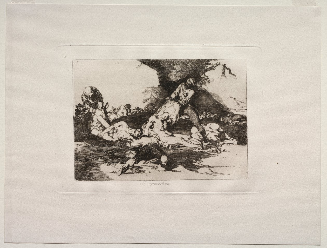 The Horrors of War: De gjør bruk av dem av Francisco de Goya